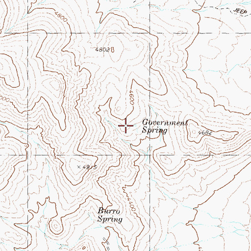 Topographic Map of Government Spring, NV