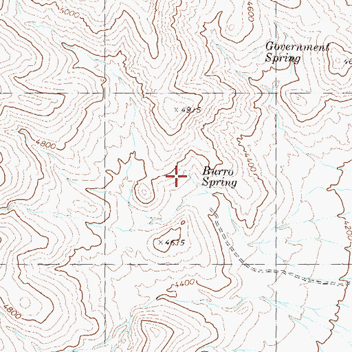 Topographic Map of Burro Spring, NV