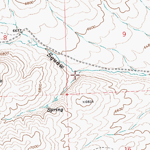 Topographic Map of South Fork East Squaw Creek, NV