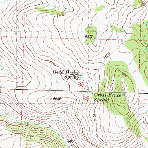 Topographic Map of Dead Heifer Spring, NV