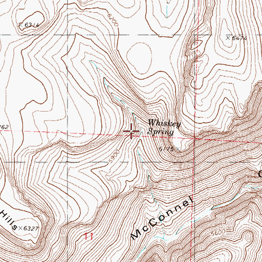Topographic Map of Whiskey Spring, NV