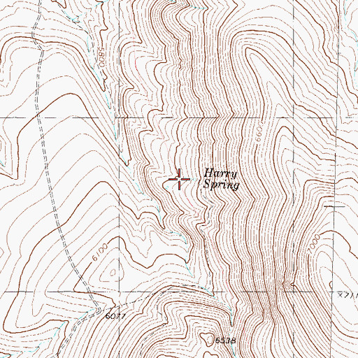 Topographic Map of Harry Spring, NV