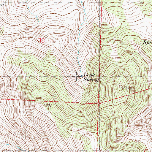 Topographic Map of Look Spring, NV