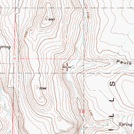 Topographic Map of Pauls Camp Canyon, NV
