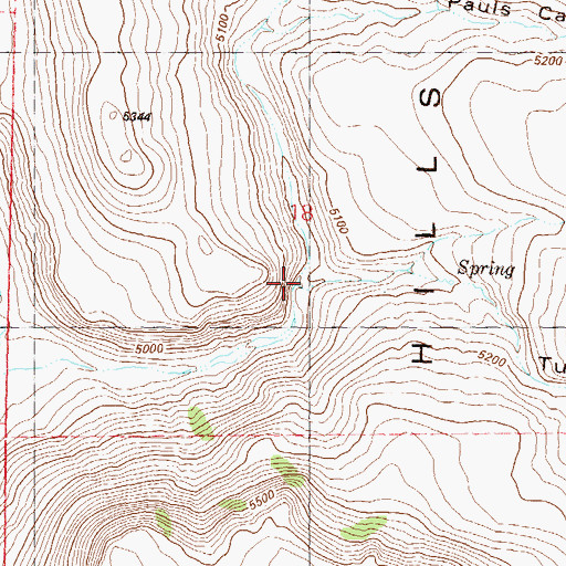 Topographic Map of Turn Canyon, NV