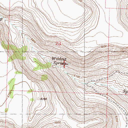 Topographic Map of Wildcat Spring, NV