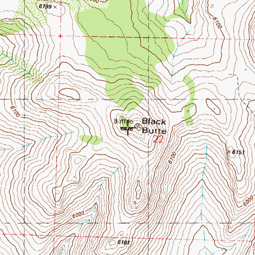 Topographic Map of Black Butte, NV