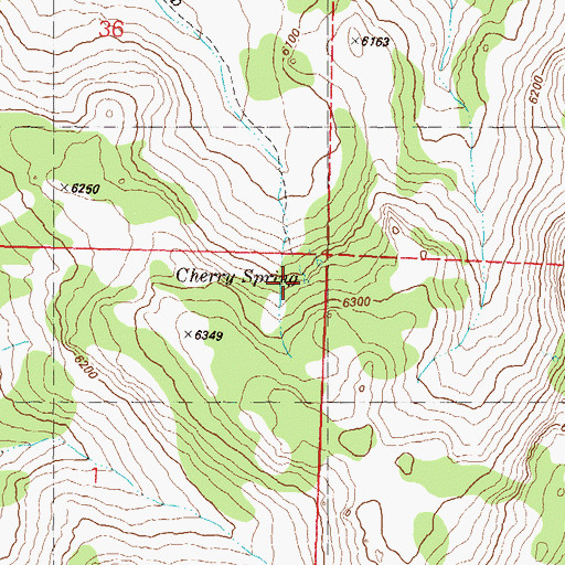 Topographic Map of Cherry Spring, NV