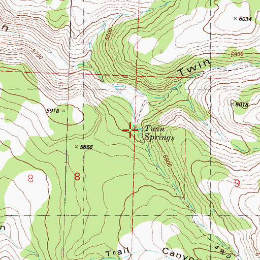 Topographic Map of Twin Springs, NV