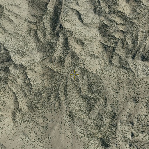 Aerial/Satellite Image of Lou Spring, NV