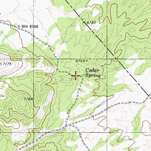 Topographic Map of Cedar Spring, NV
