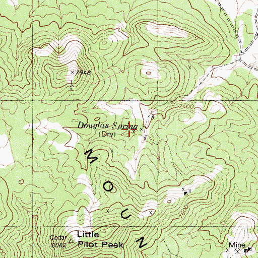 Topographic Map of Douglas Spring, NV