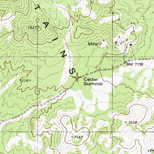 Topographic Map of Cedar Summit, NV