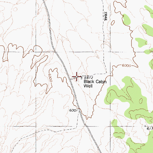 Topographic Map of Black Cabin Well, NV