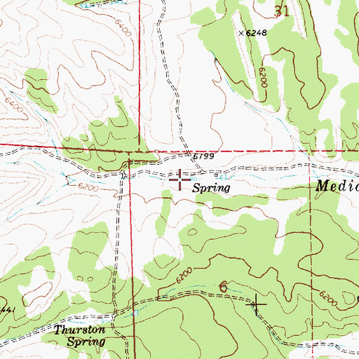 Topographic Map of Thurston Spring, NV