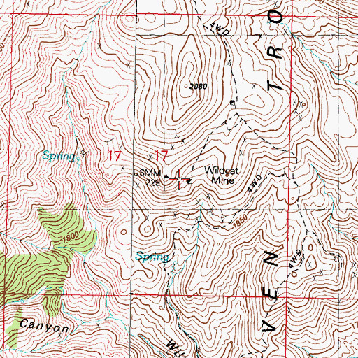 Topographic Map of Wildcat Mine, NV