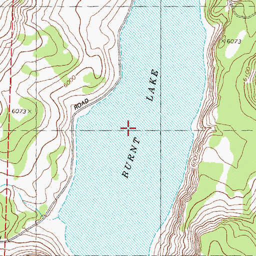 Topographic Map of Burnt Lake, NV