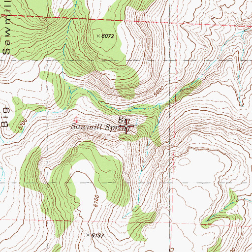 Topographic Map of Big Sawmill Spring, NV