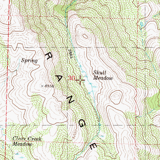 Topographic Map of Skull Meadow, NV