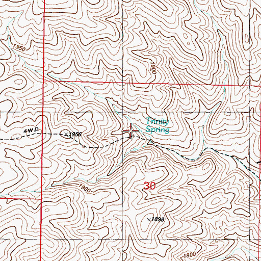 Topographic Map of Trinity Spring, NV