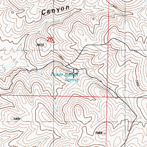 Topographic Map of Poker Brown Spring, NV