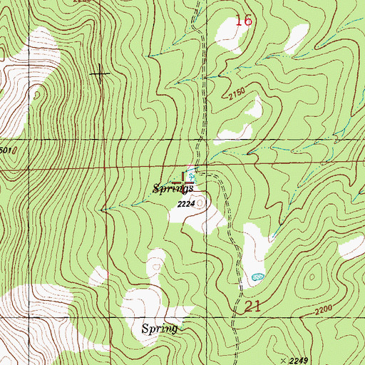 Topographic Map of Willow Patch Spring, NV