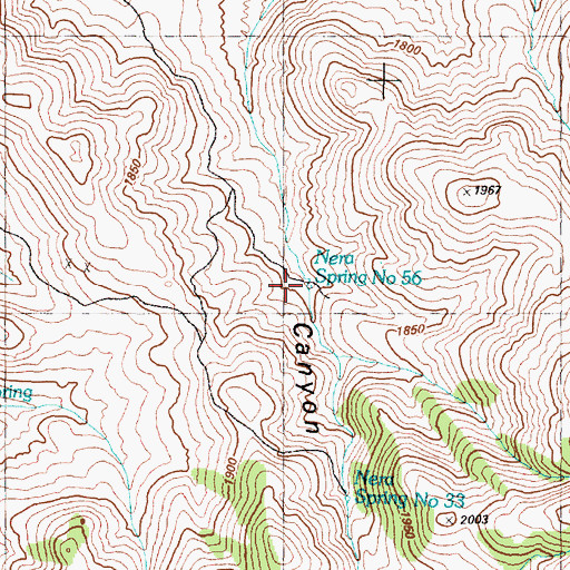 Topographic Map of Nera Spring Number 56, NV