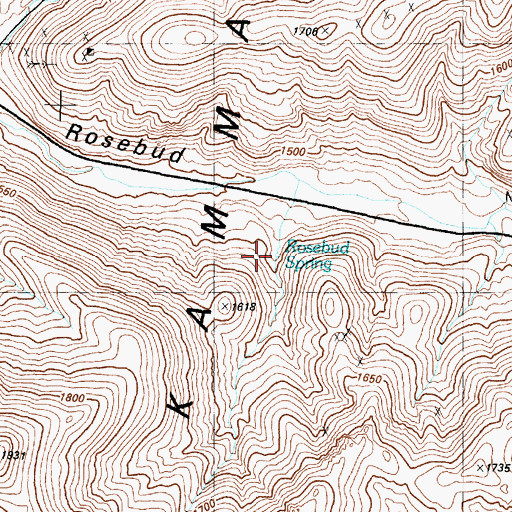 Topographic Map of Rosebud Spring, NV