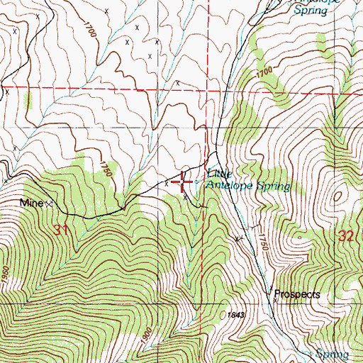 Topographic Map of Little Antelope Spring, NV