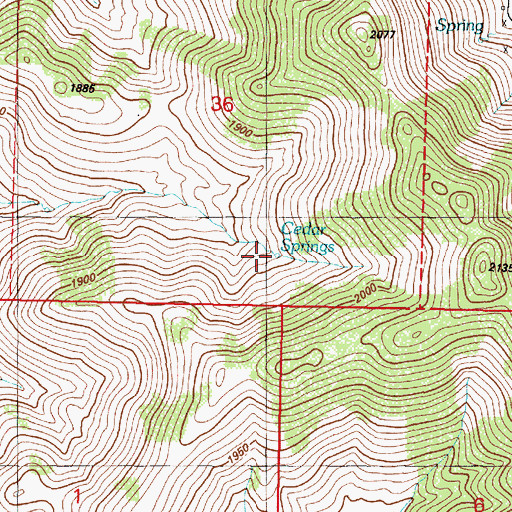 Topographic Map of Cedar Springs, NV