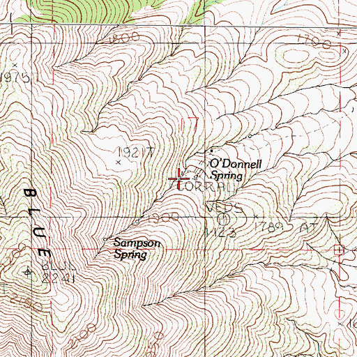 Topographic Map of O'Donnell Spring, NV