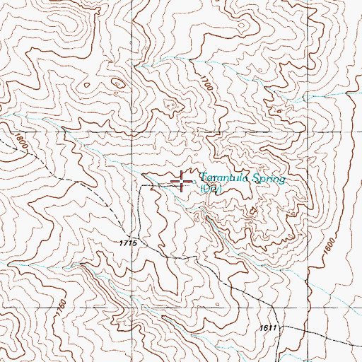 Topographic Map of Tarantula Spring, NV