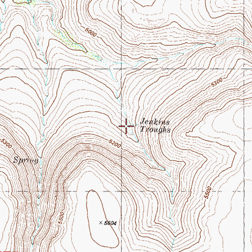 Topographic Map of Jenkins Troughs, NV