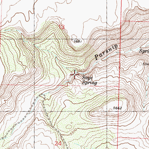 Topographic Map of Sage Spring, NV