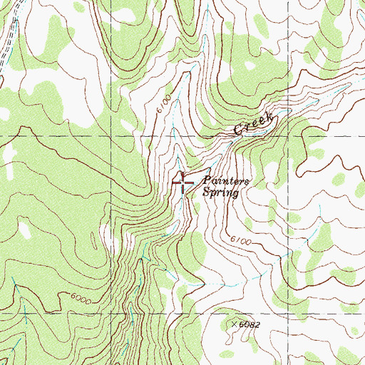 Topographic Map of Painters Spring, NV