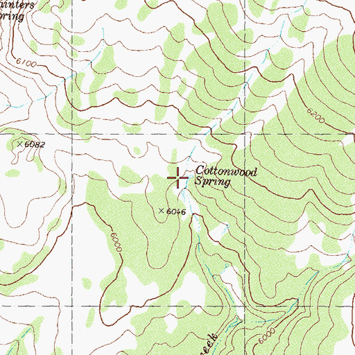 Topographic Map of Cottonwood Spring, NV