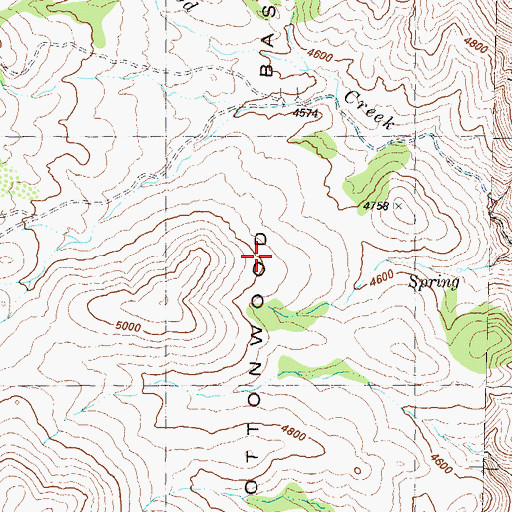 Topographic Map of Cottonwood Basin, NV
