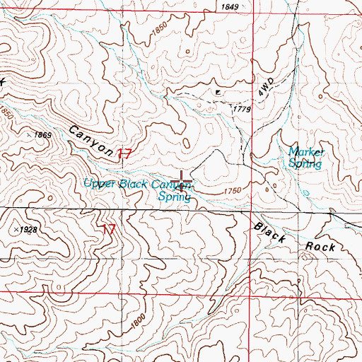 Topographic Map of Upper Black Canyon Spring, NV