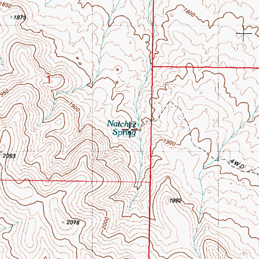 Topographic Map of Natchez Spring, NV