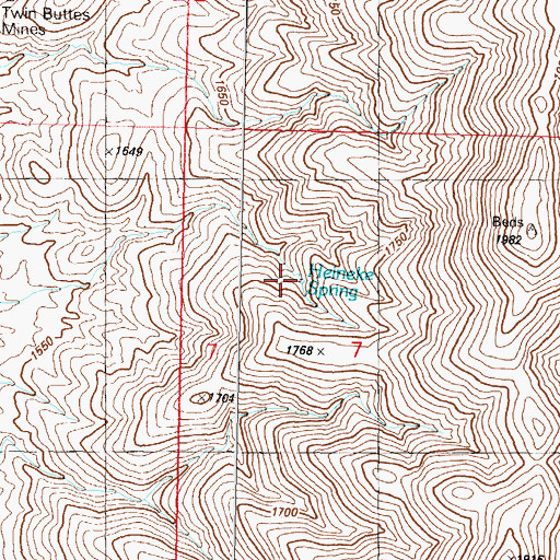 Topographic Map of Heineke Spring, NV