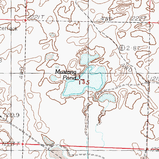 Topographic Map of Mustang Pond, NV