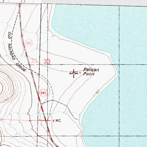 Topographic Map of Pelican Point, NV