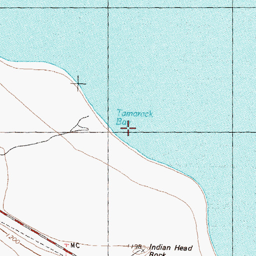 Topographic Map of Tamarack Bay, NV