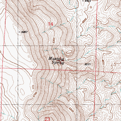 Topographic Map of Mustang Spring, NV
