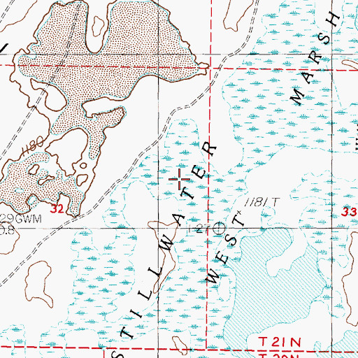 Topographic Map of West Marsh, NV
