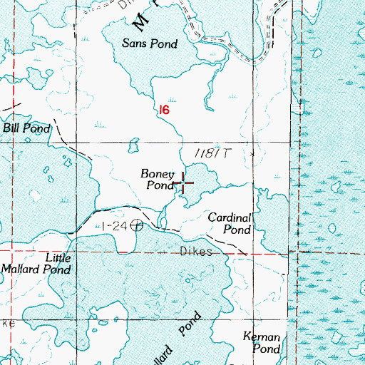 Topographic Map of Boney Pond, NV
