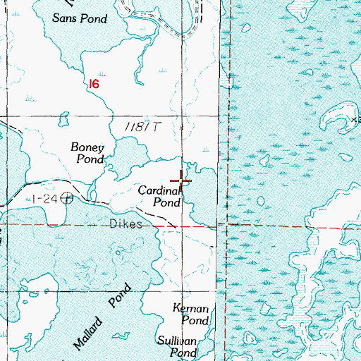 Topographic Map of Cardinal Pond, NV