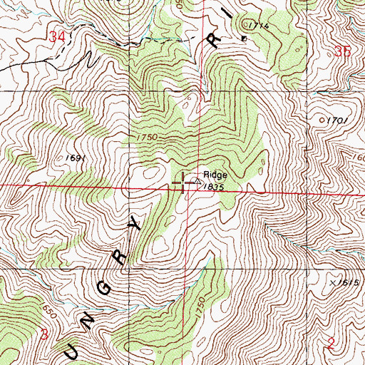 Topographic Map of Hungry Ridge, NV