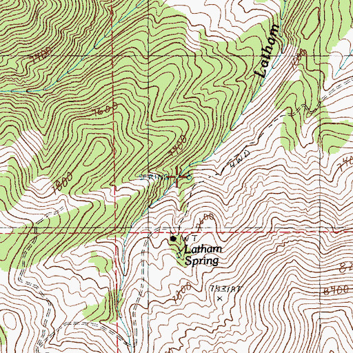 Topographic Map of Upper Latham Spring, NV