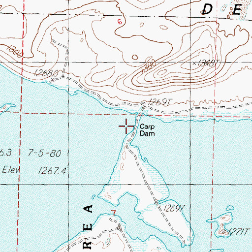 Topographic Map of Carp Dam, NV